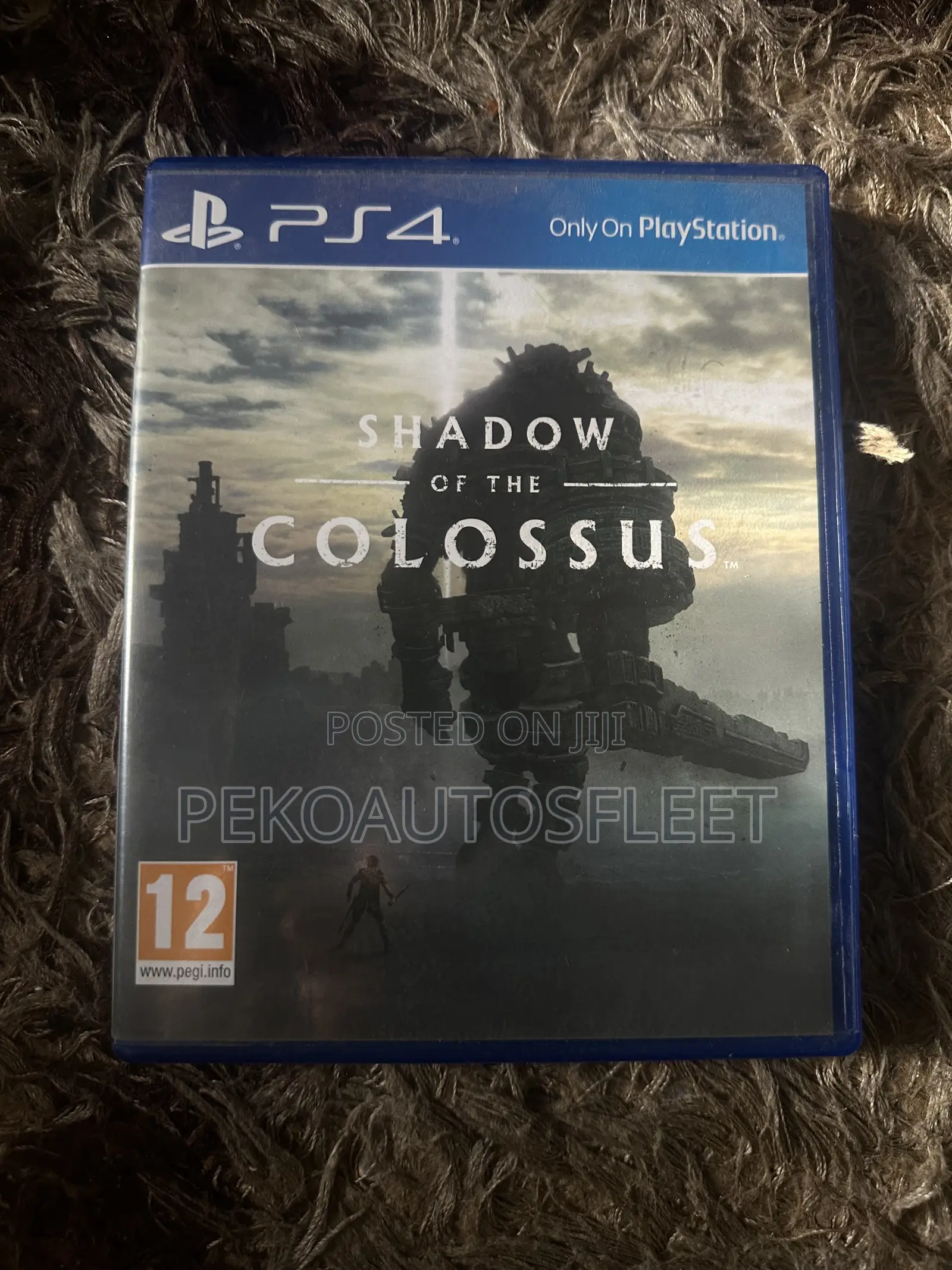Shadow of the Colossus - PS4