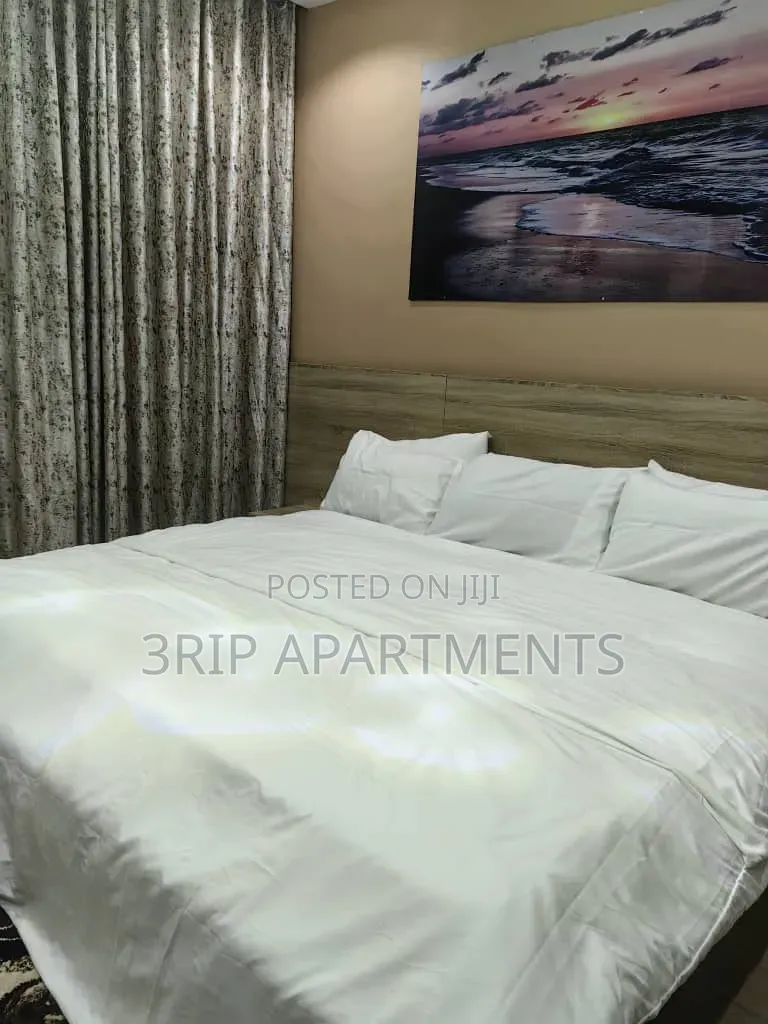 1 Bedroom Apartment Wuse 2