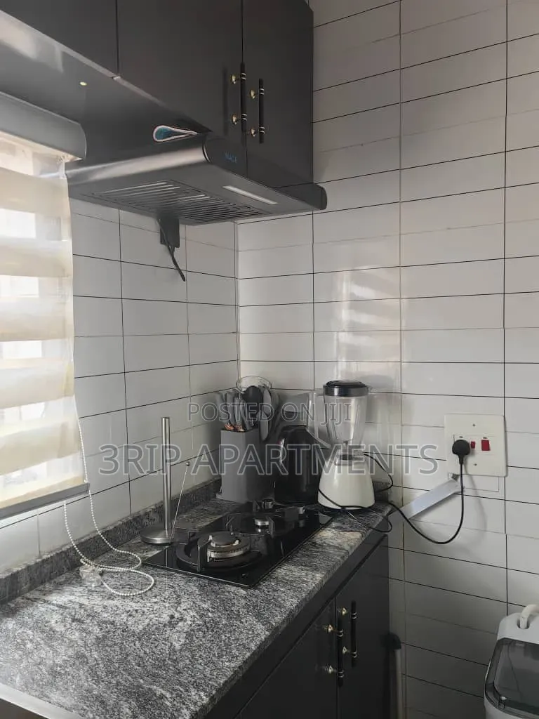 1 Bedroom Apartment Wuse 2