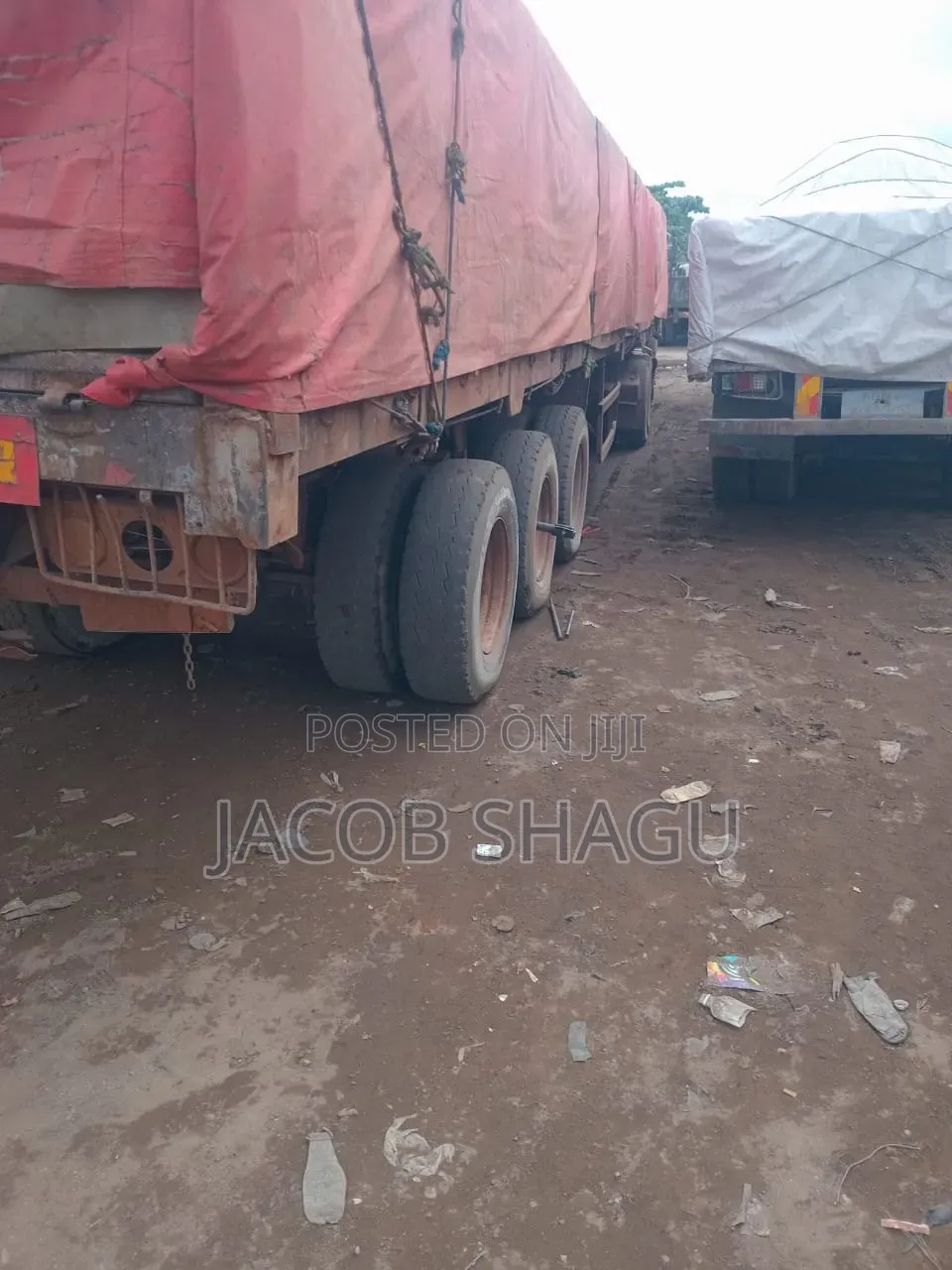 Shagu Ventures Is a Reliable Distributor of Dangote BUA and Lafarge