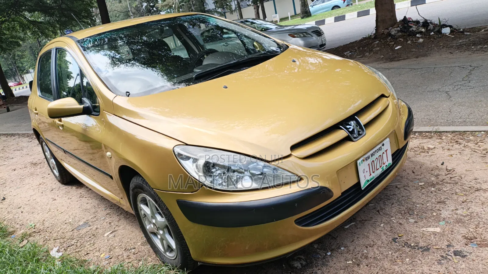Peugeot 307 2008 Gold