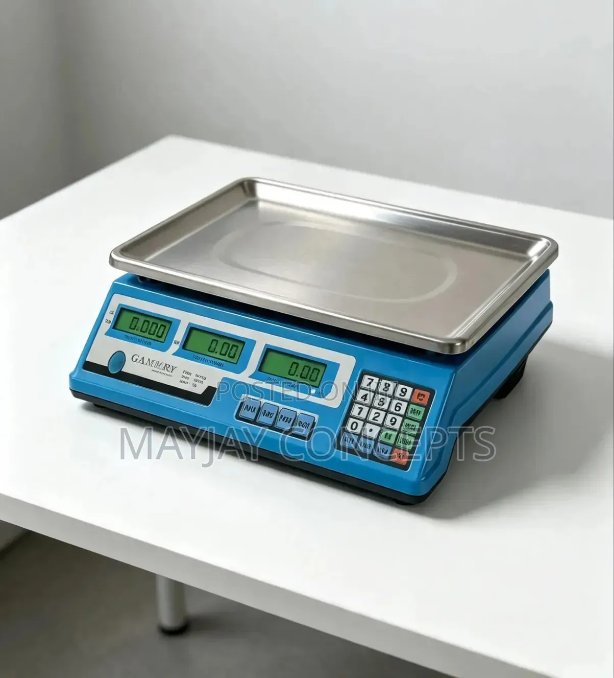 GAMMRY Electronic Pricing Scale 40KG | Digital Commercial Weighing Mac