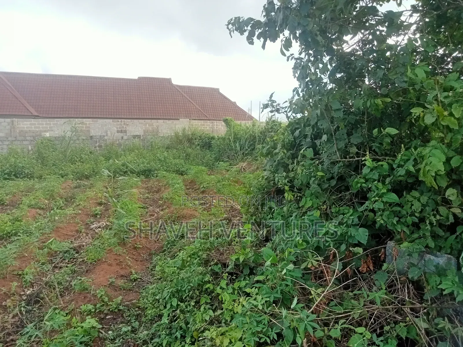 2 Plot of Land for Sale at Omonile Junction Abiola Gasline Arobieye
