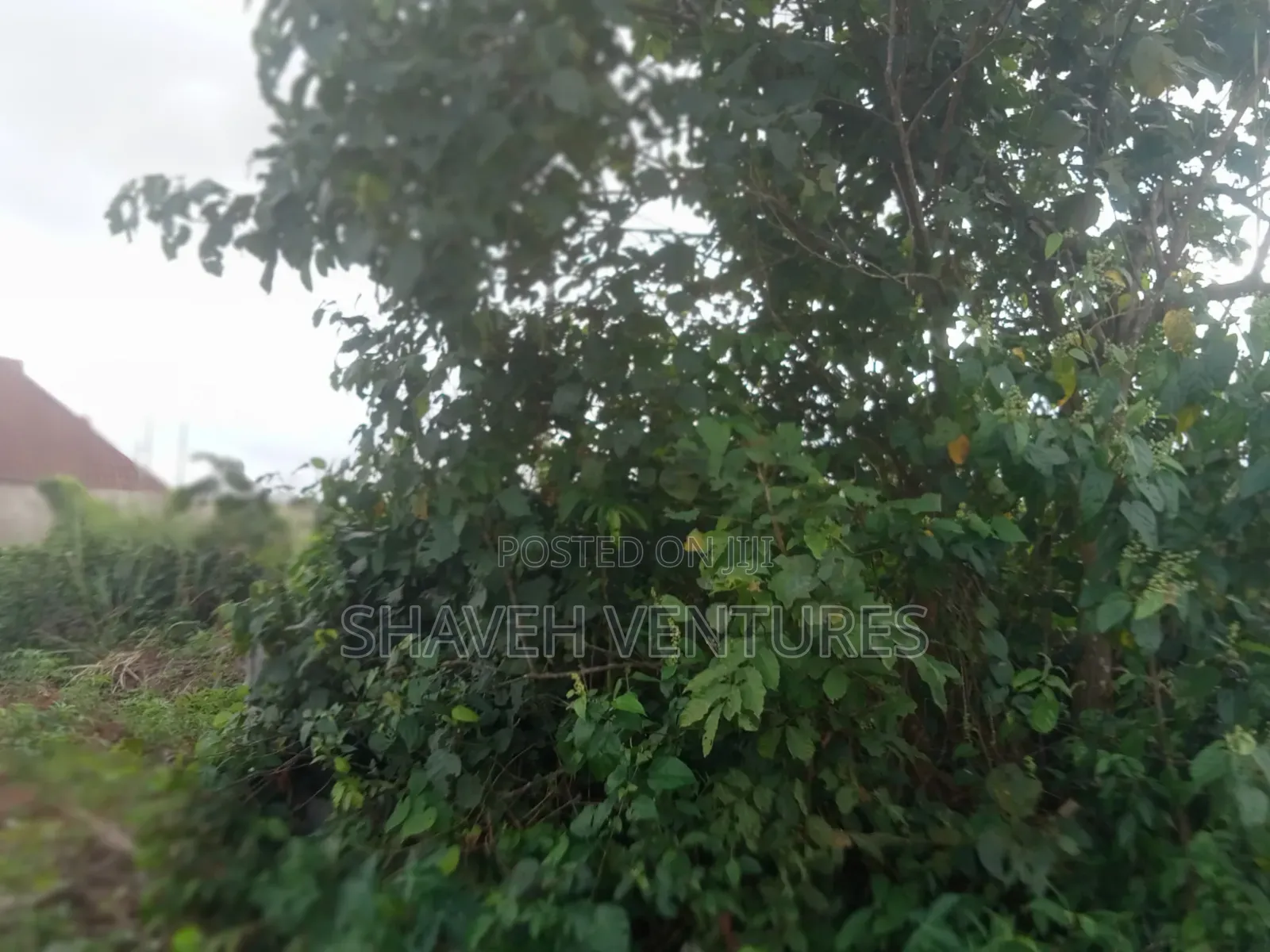 2 Plot of Land for Sale at Omonile Junction Abiola Gasline Arobieye