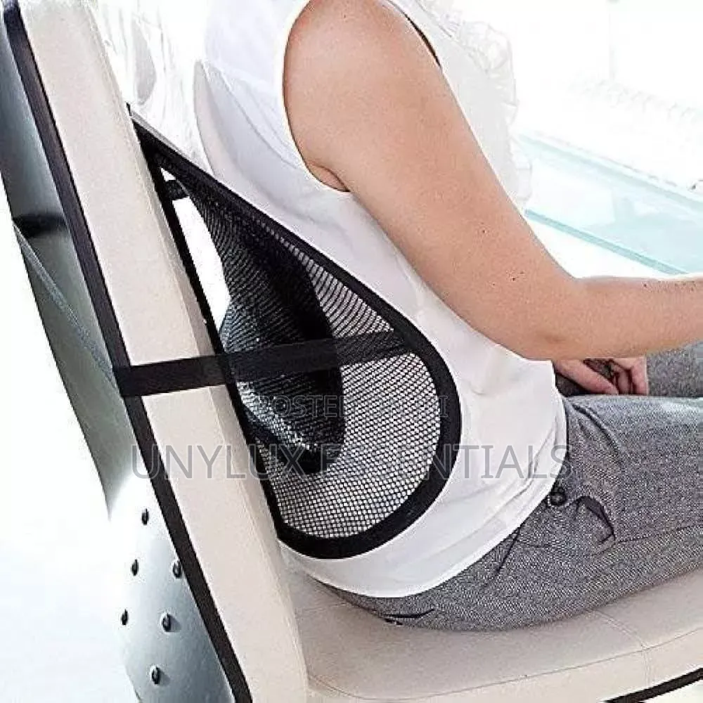 Mesh Lumbar Back Car Seat and Chair Cushion Support Pad