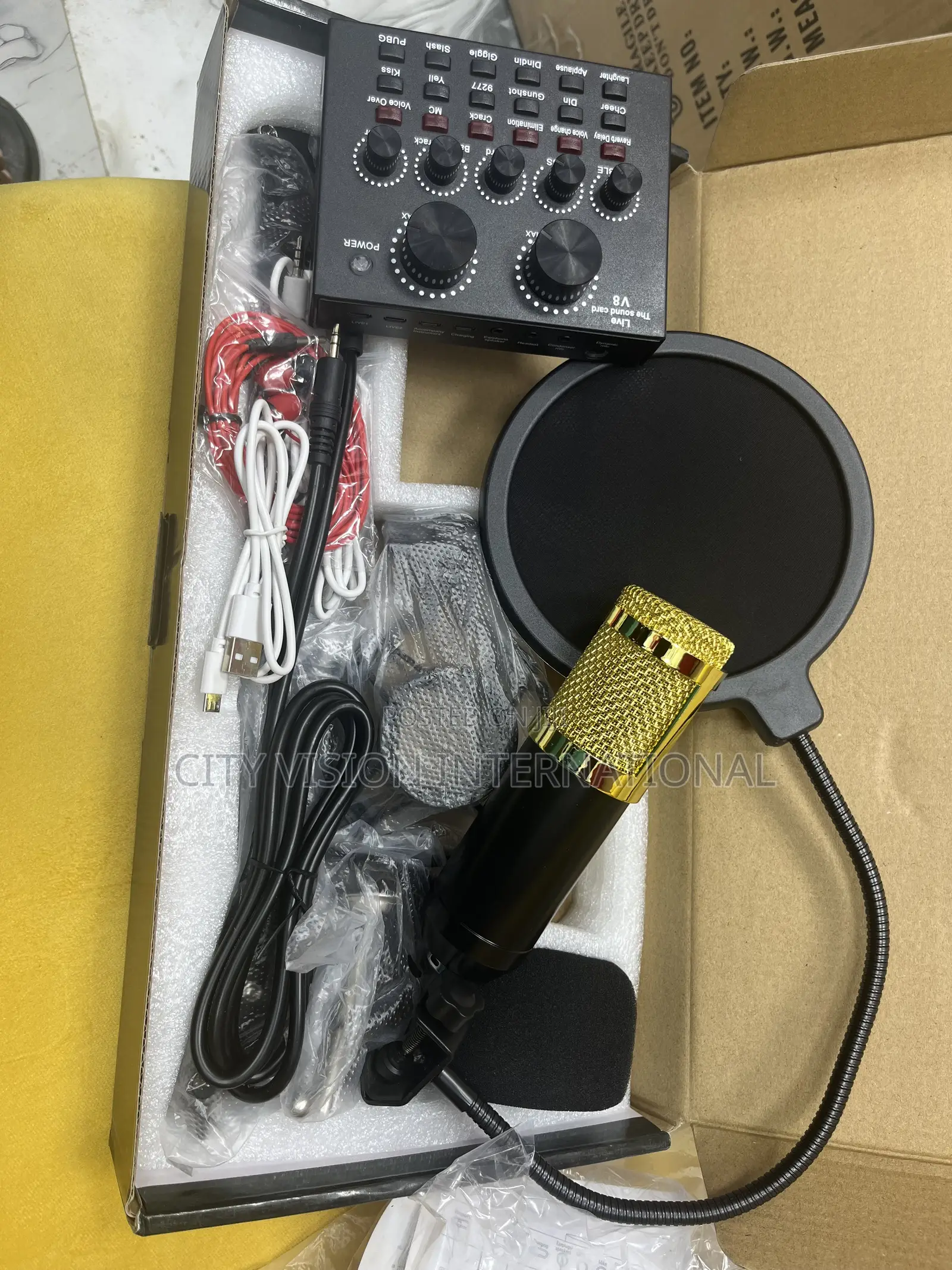 BM-800 Condenser Microphone