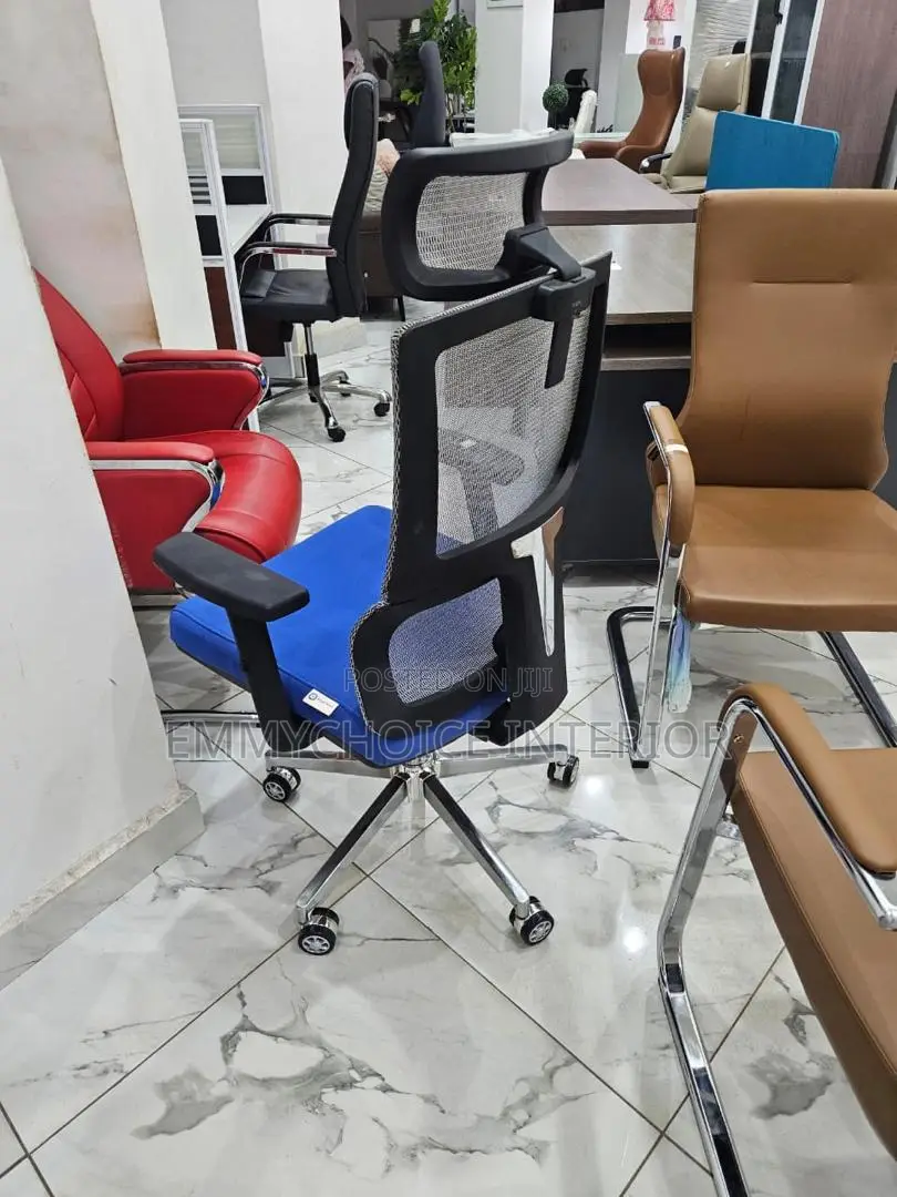 Premium Ergonomic Office Chair