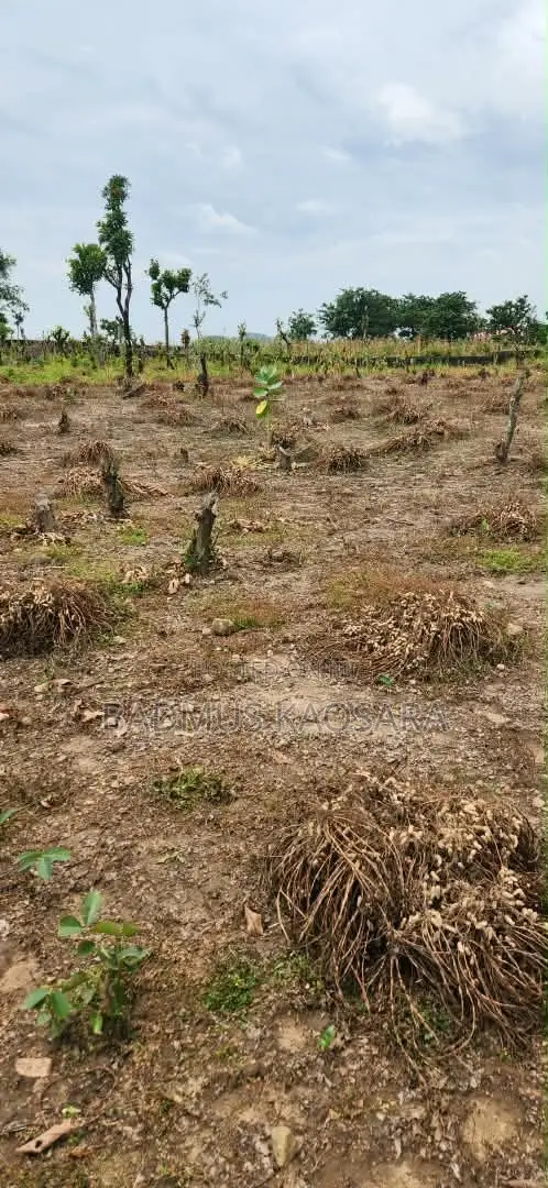 Spacious Residential Land for Sale