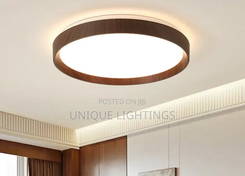 Unique Nordic LED Ceiling LIght