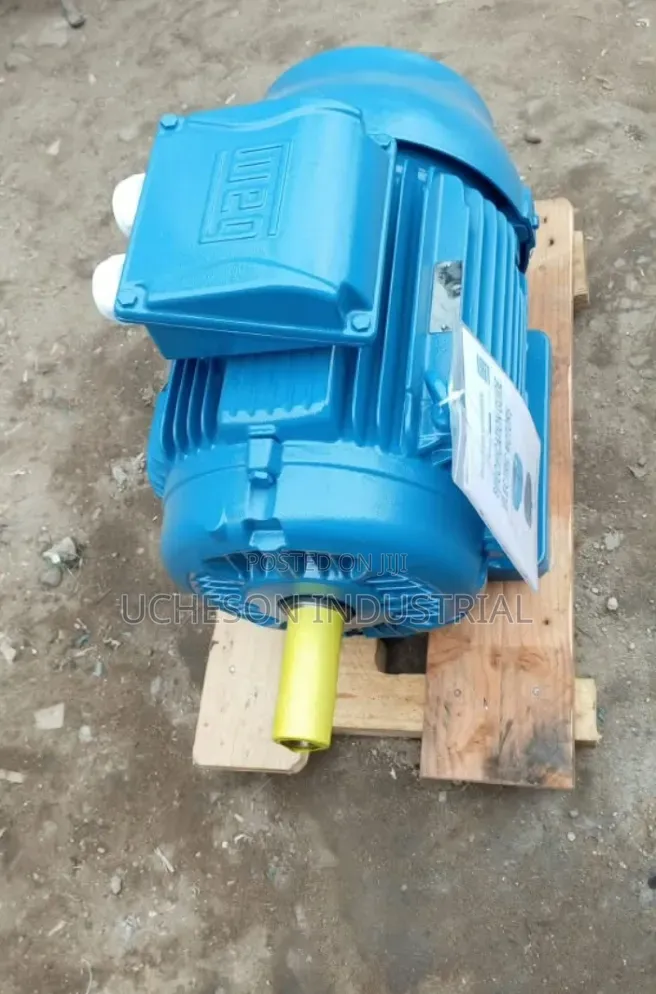 WEG 18.5kw 4 Pole Foot Mount