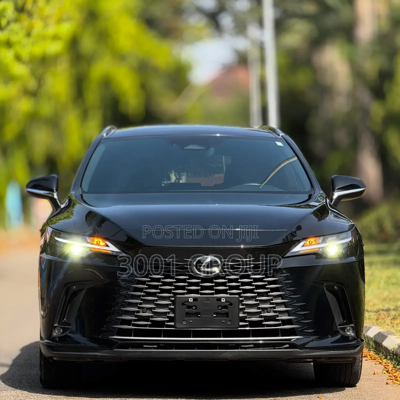 Lexus RX 2024 Black
