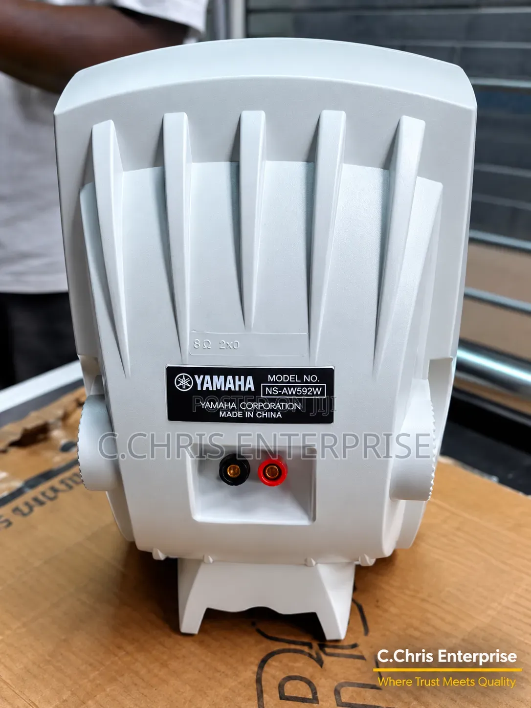 Yamaha Outdoor Speaker