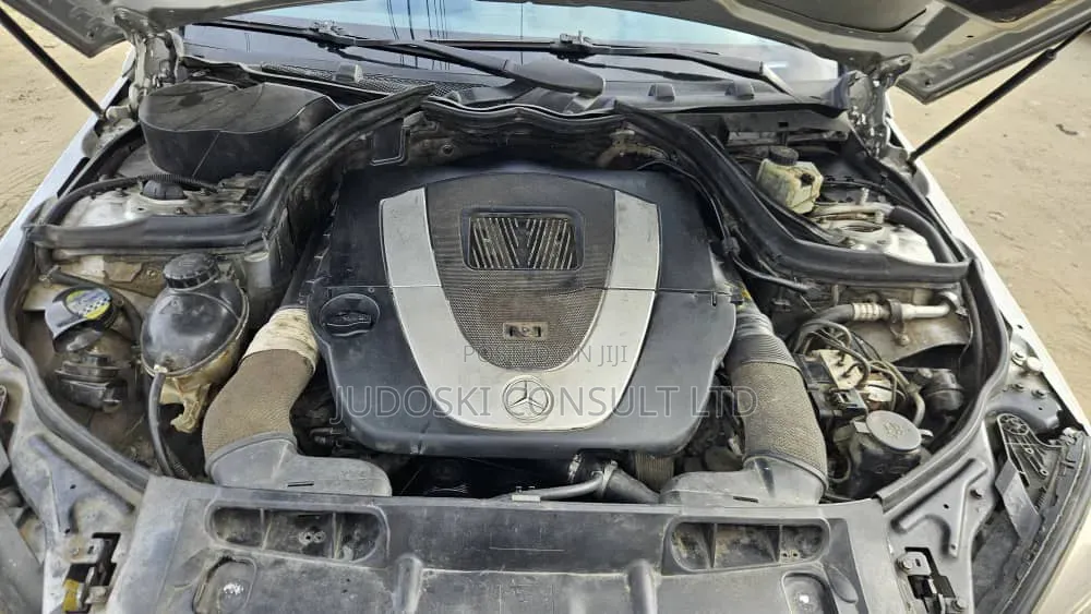 Mercedes-Benz C300 2010 Silver