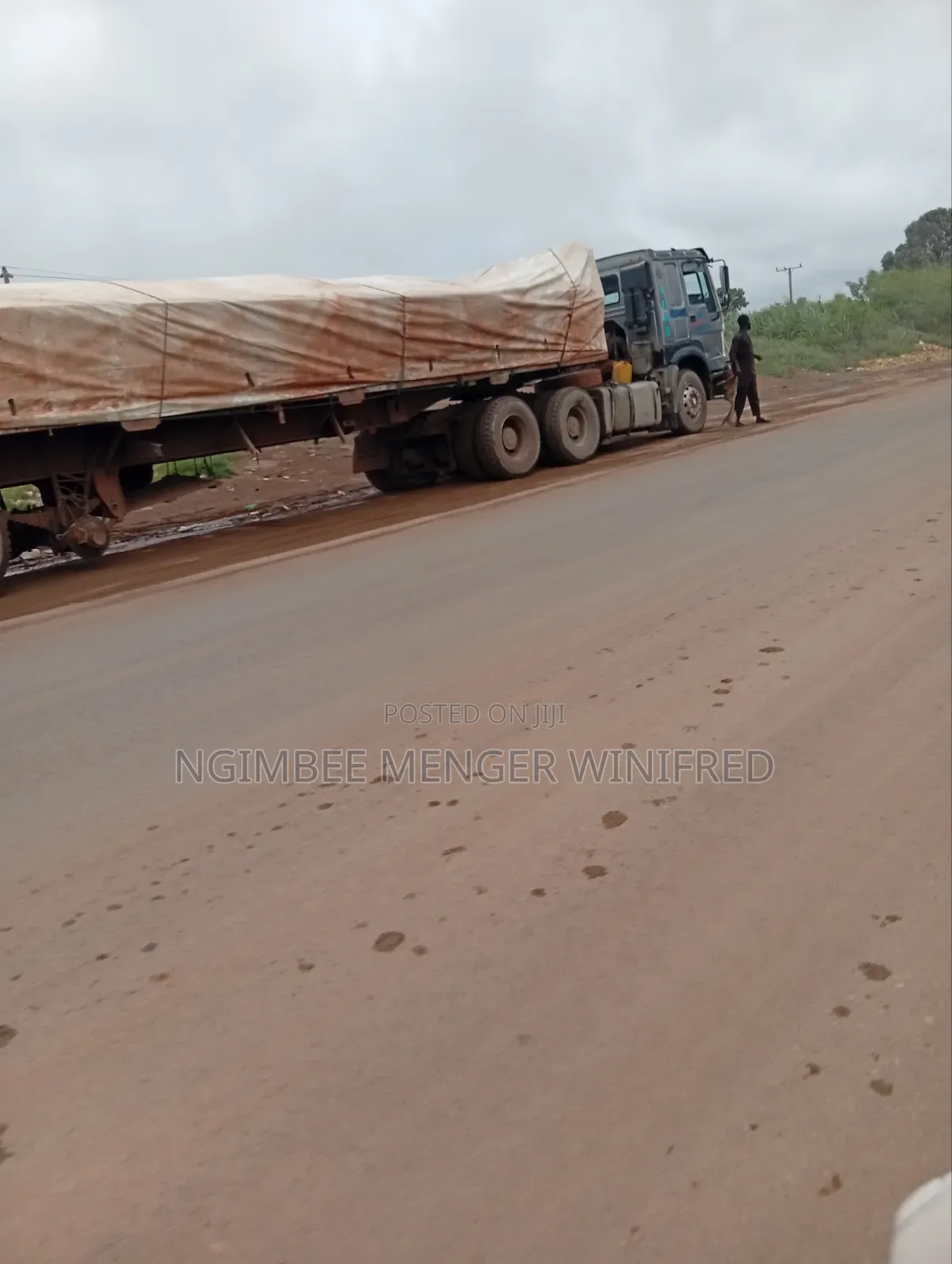 Any Kind of Dangote and Bua Cement Are Available