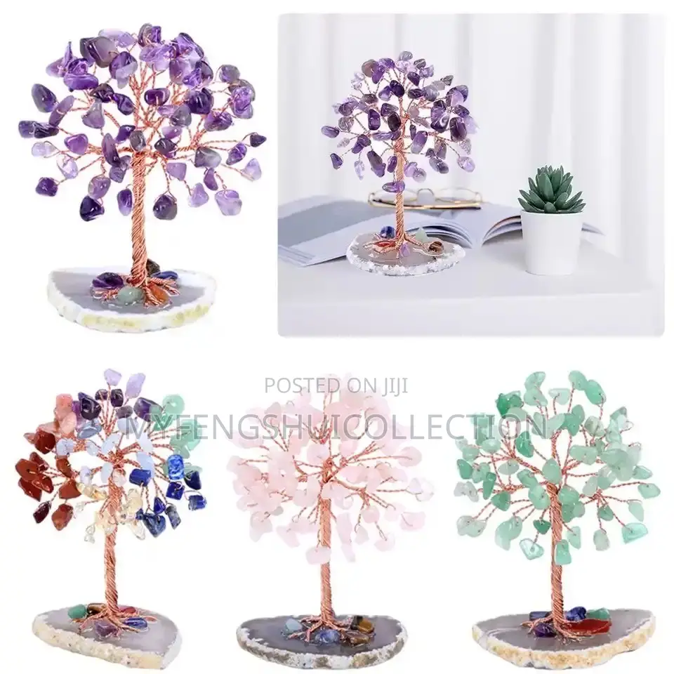Mini Fortified Money Tree to Attract Wealth and Goodluck