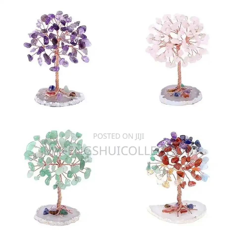 Mini Fortified Money Tree to Attract Wealth and Goodluck