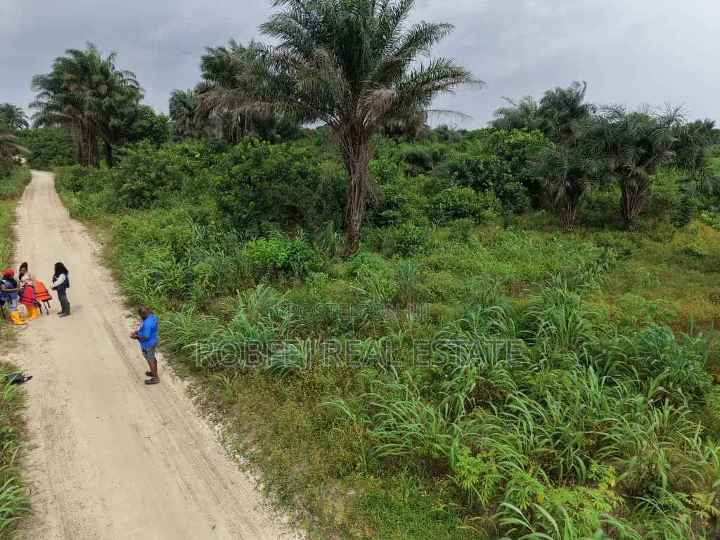  Dongo Village — Invest Ahead of Development! 
