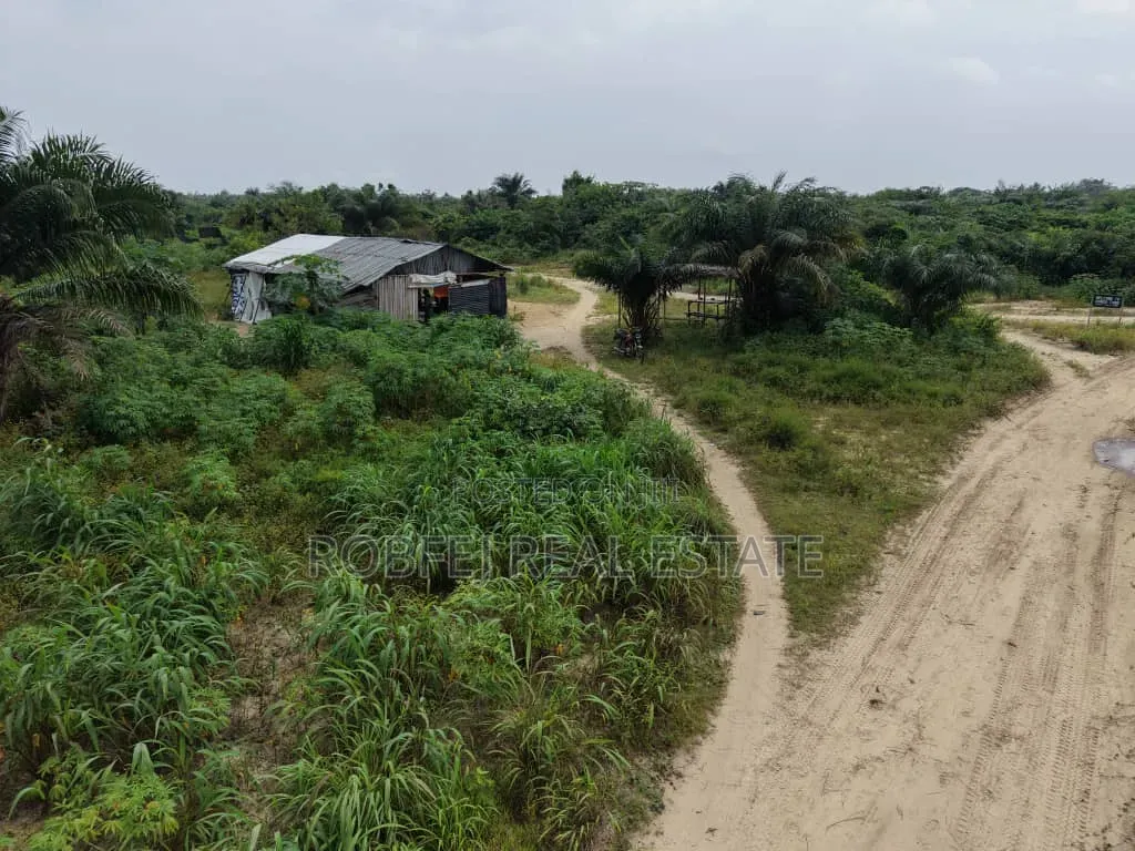  Dongo Village — Invest Ahead of Development! 