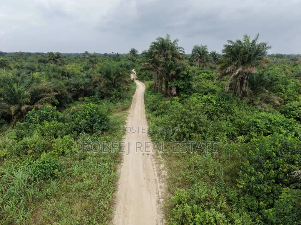  Dongo Village — Invest Ahead of Development! 