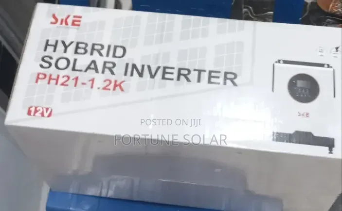 SKE 1.2kva 12V Hybrid Inverter Transformer Less With Wall Mounting