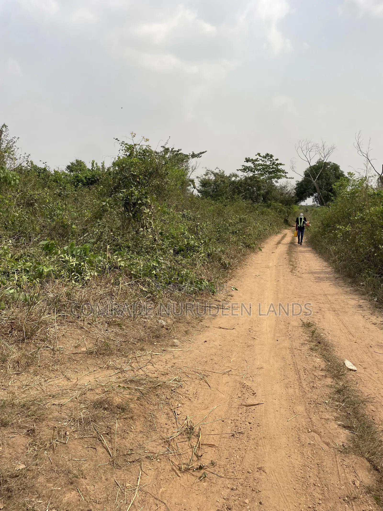 Acres and Hectares of Land