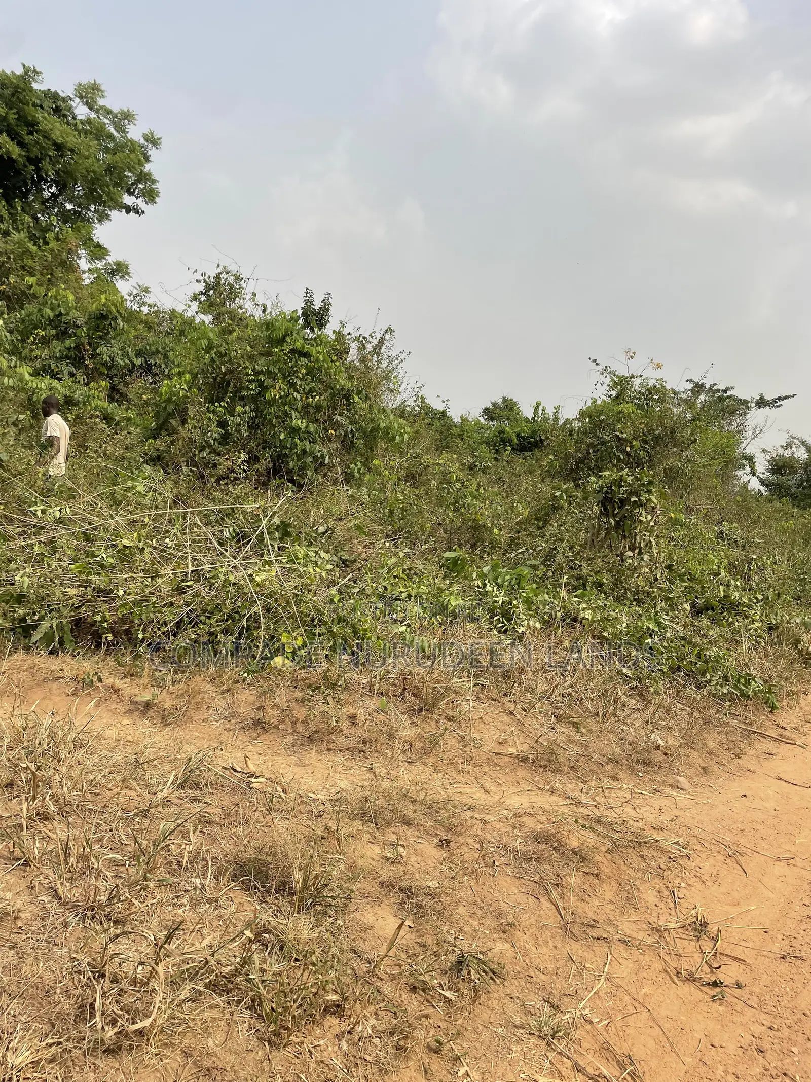 Acres and Hectares of Land