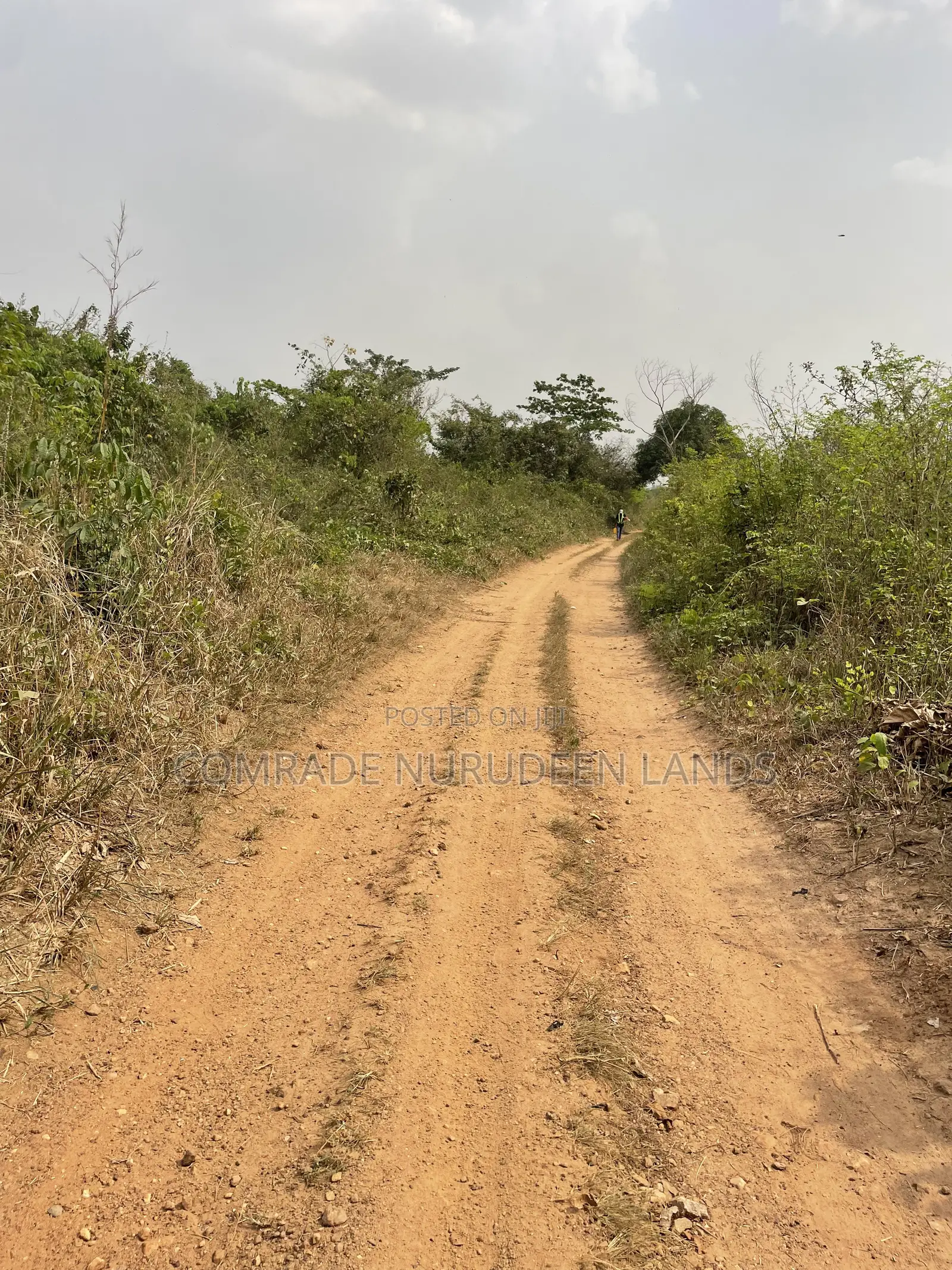 Acres and Hectares of Land