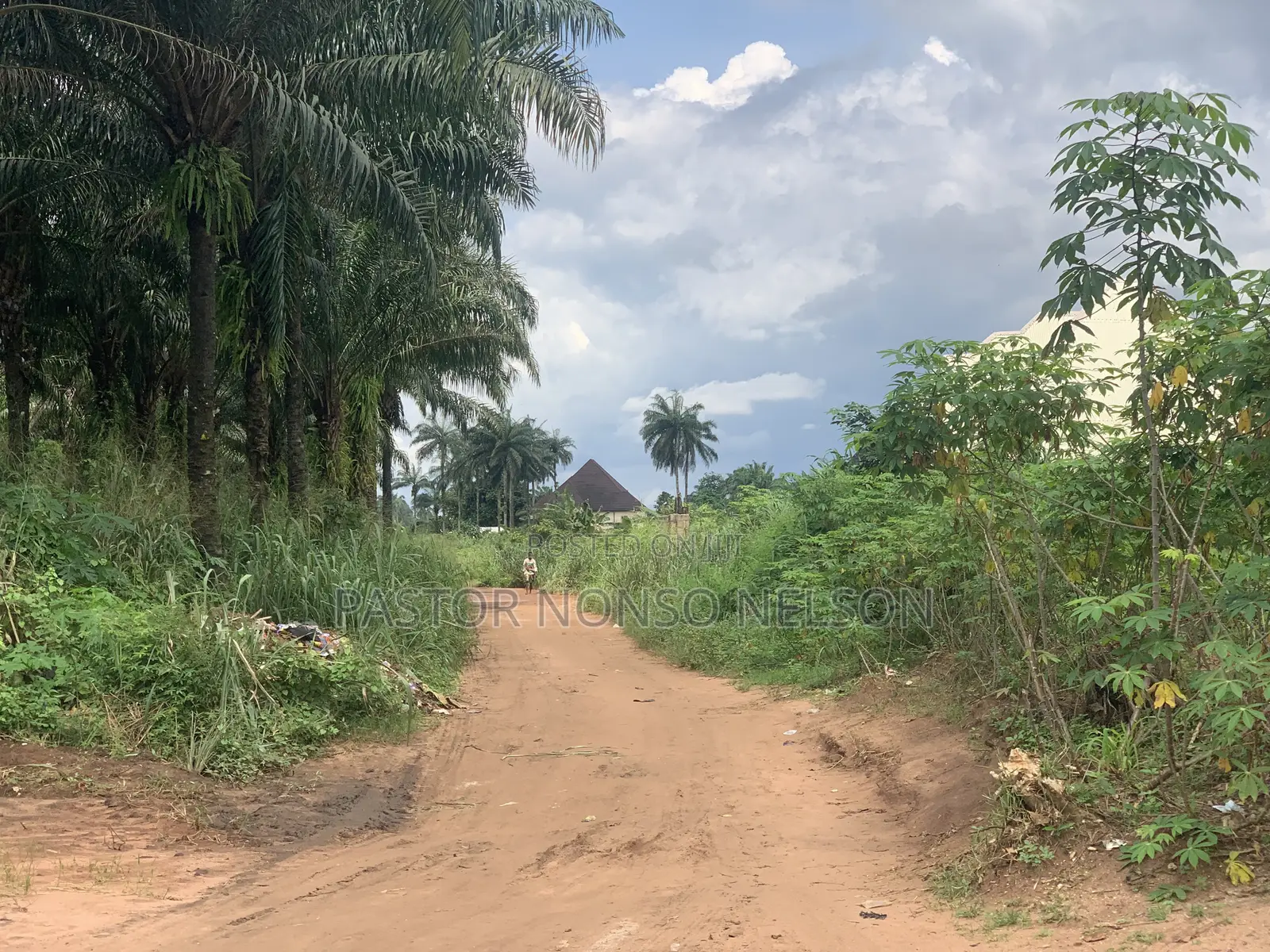 3 Sharable Plots of Land at Ogbaku by Umuekpu