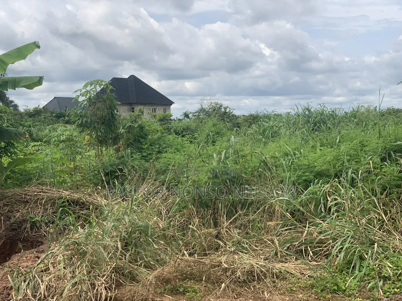 3 Sharable Plots of Land at Ogbaku by Umuekpu