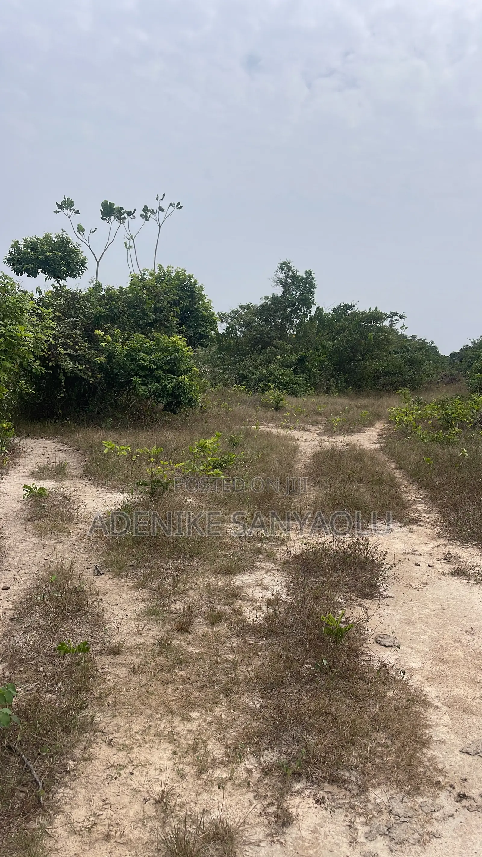 7 Acres of Land for Sale in Ikorodu Imota