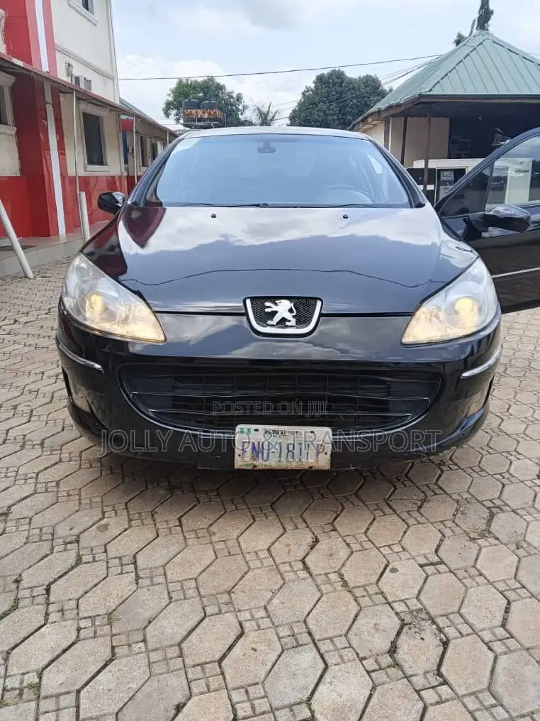 Peugeot 407 2.7 V6 HDi 2009 Black