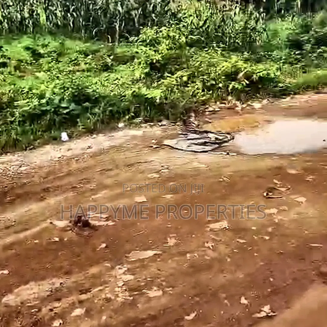 Dakibiyu Low-Density Residential Plot for Sale