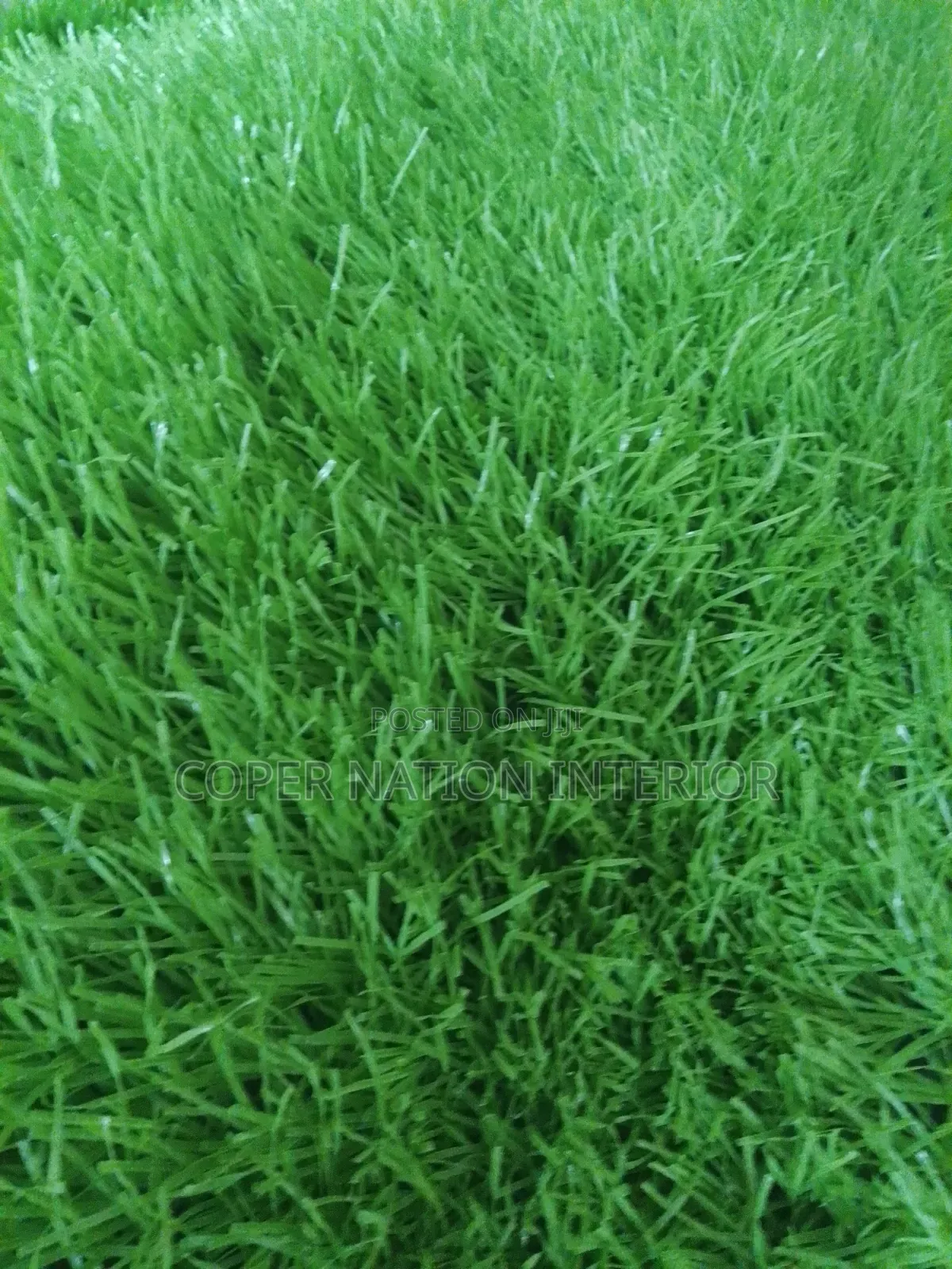 Artificial Grass 50 Mm. Available in Bundles. In Double Colour Too.