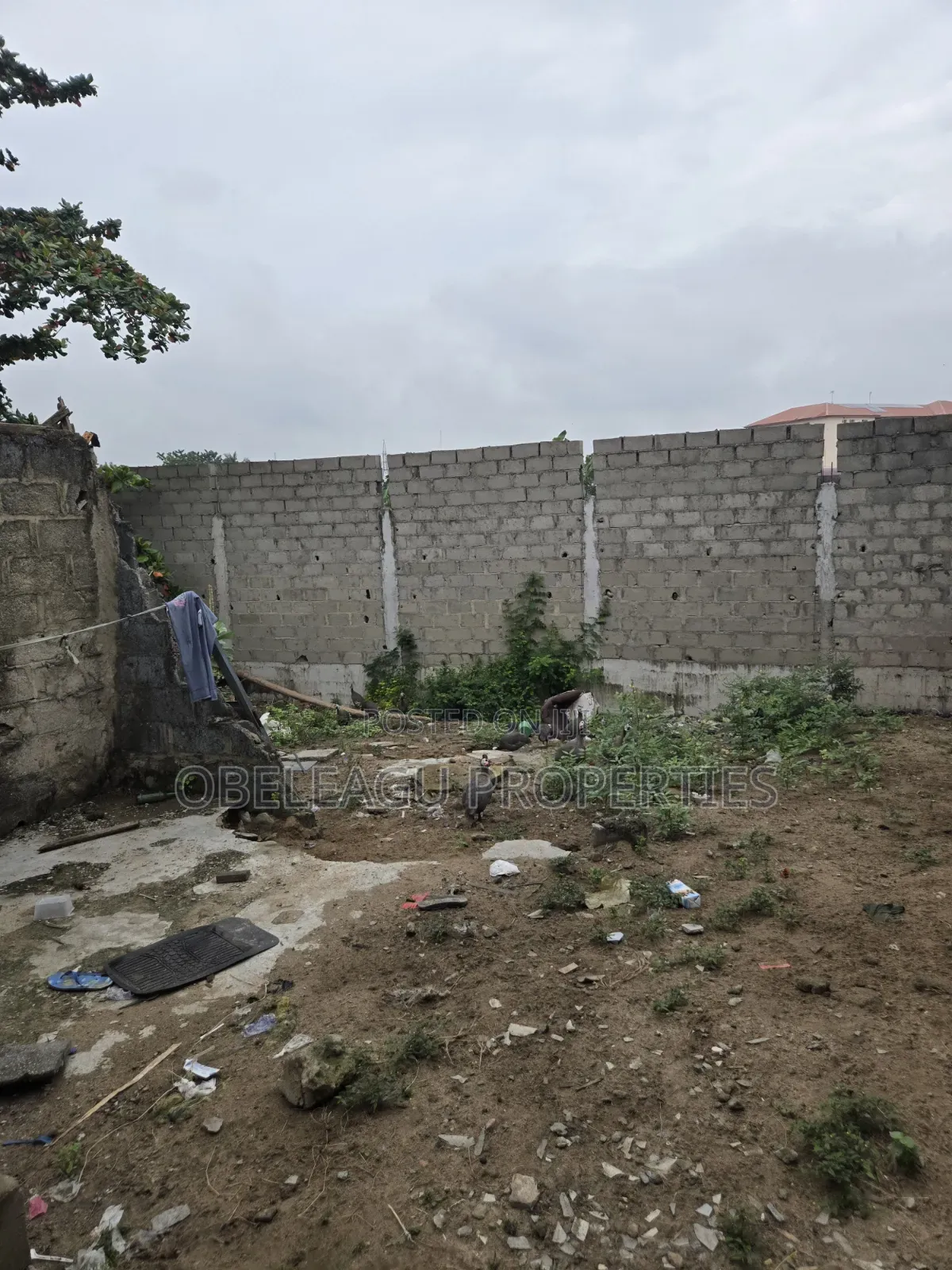 2400 Square Meters Water Front for Lease 