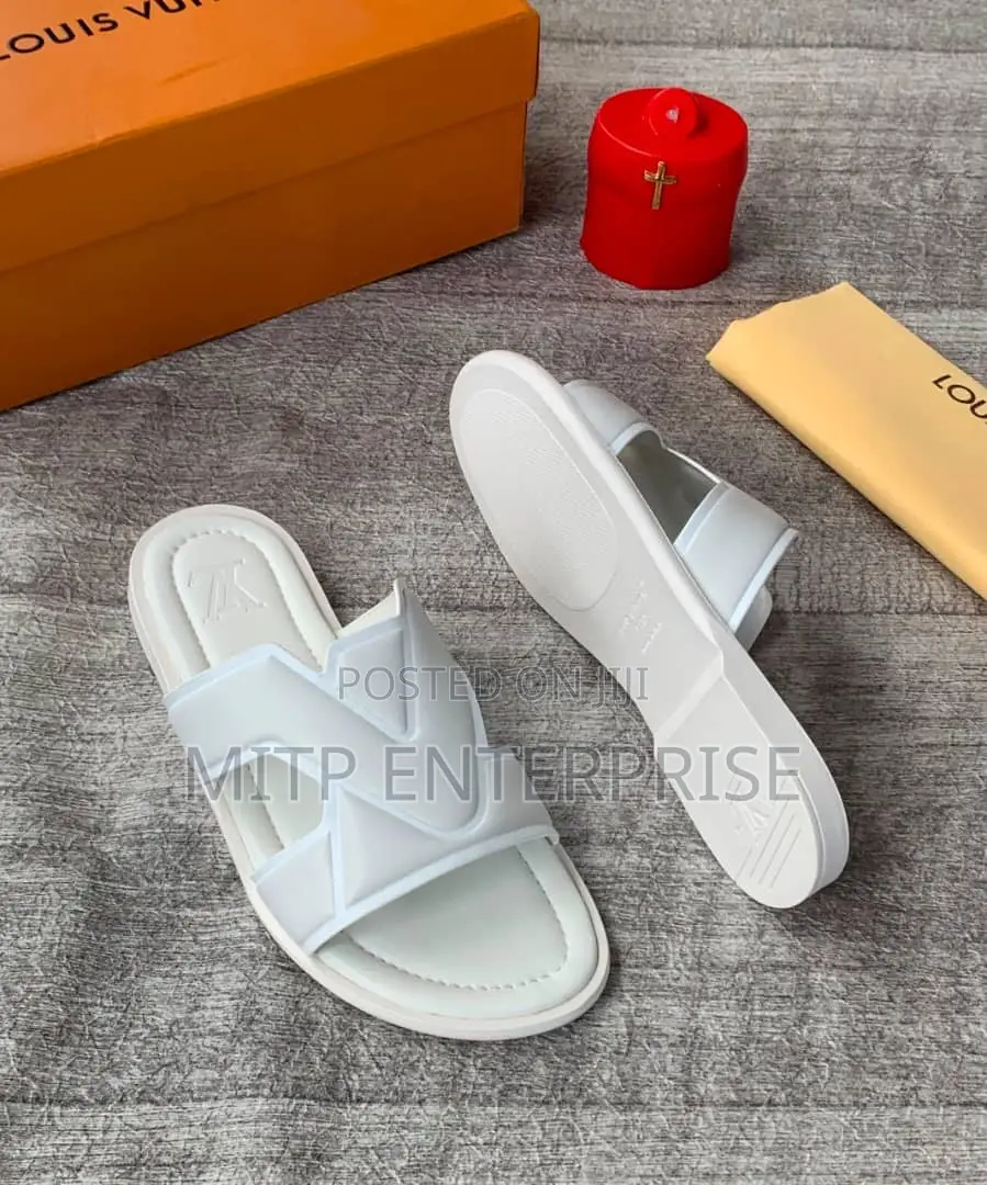 Louis Vuitton Designer Inspired Slipper/Slide