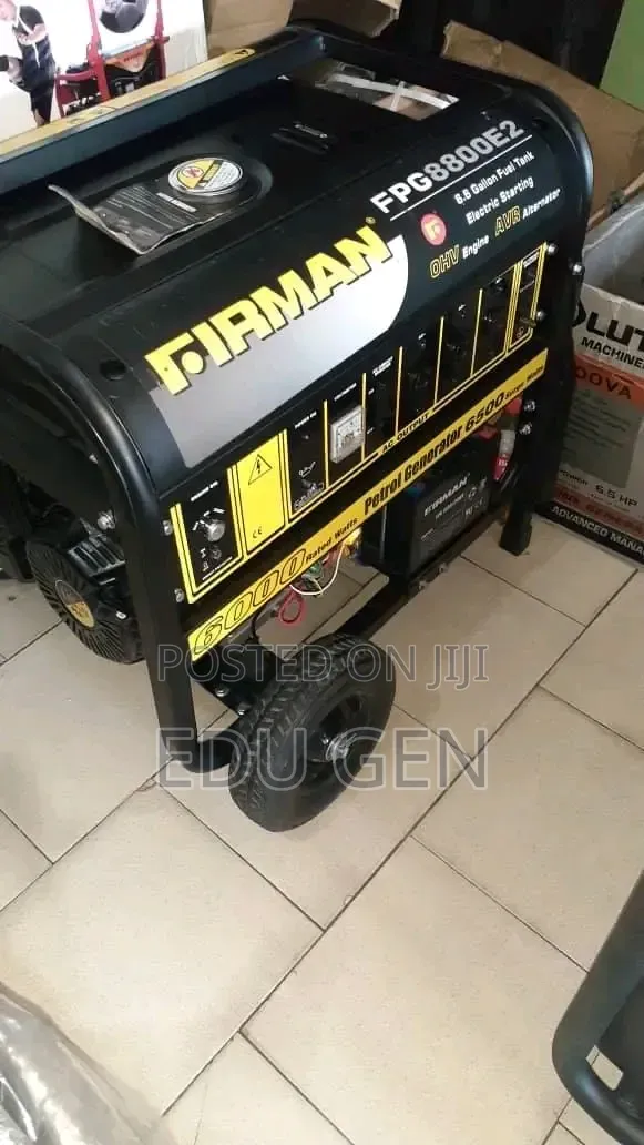 Original Firman Generator FPG8800E2 100%copper Coil
