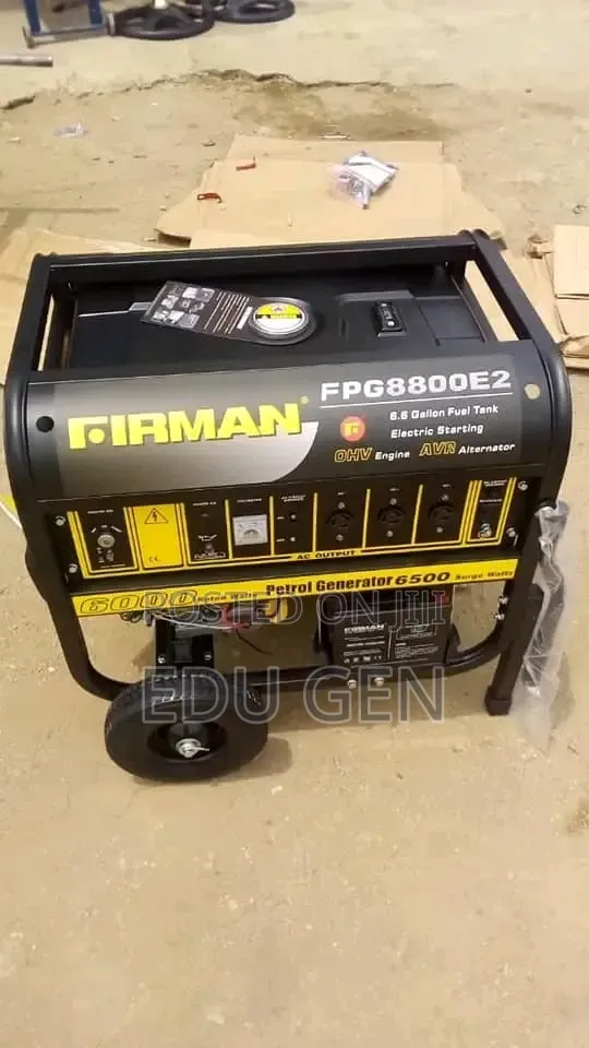 Original Firman Generator FPG8800E2 100%copper Coil