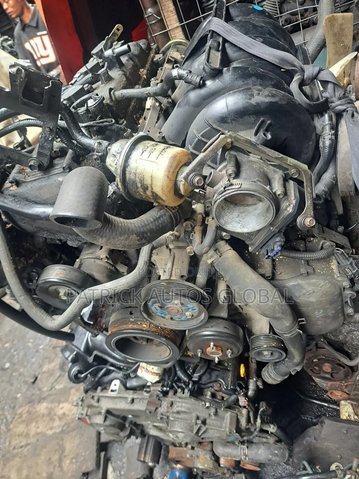V8 Amanda Q56
