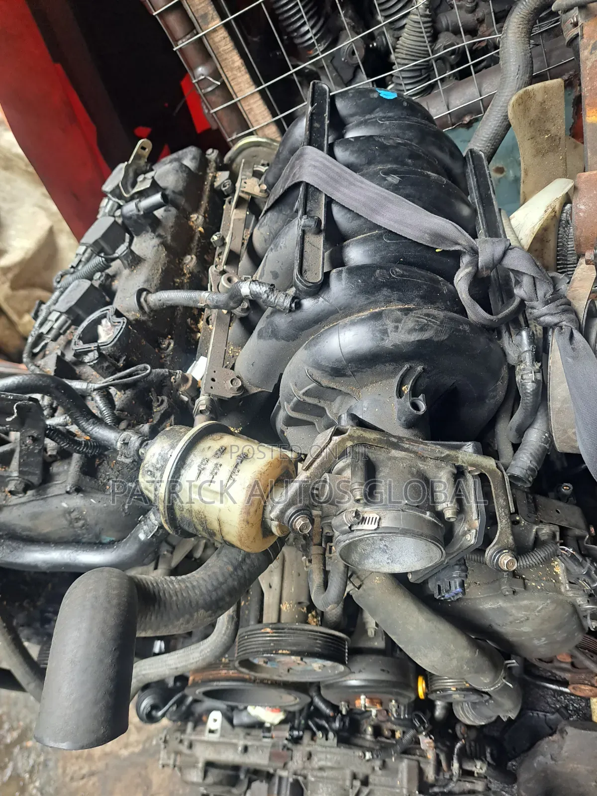 V8 Amanda Q56