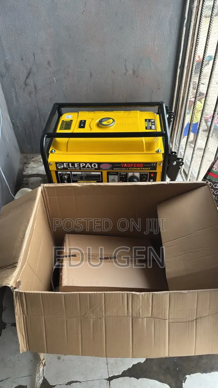 Original Elepaq Constant Generator SV6800 100%copper Coil