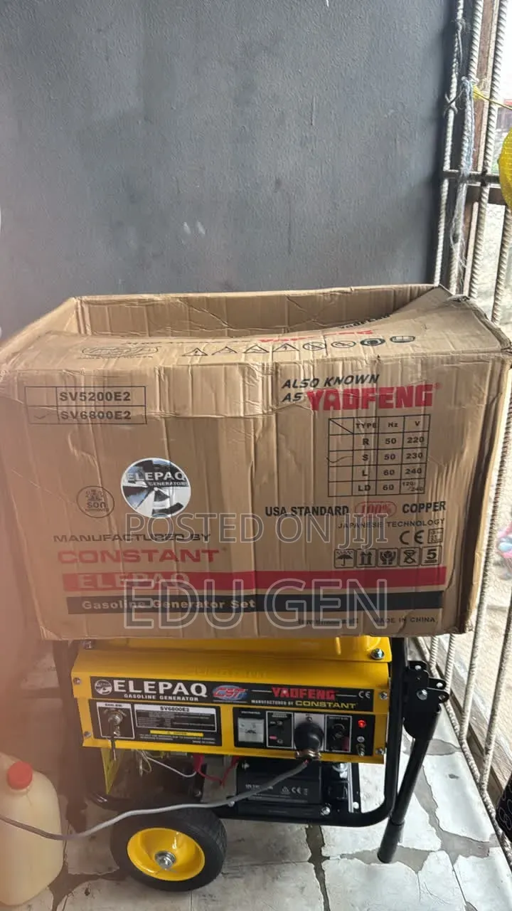 Eelepaq Constant Generator SV6800 100%copper Coil