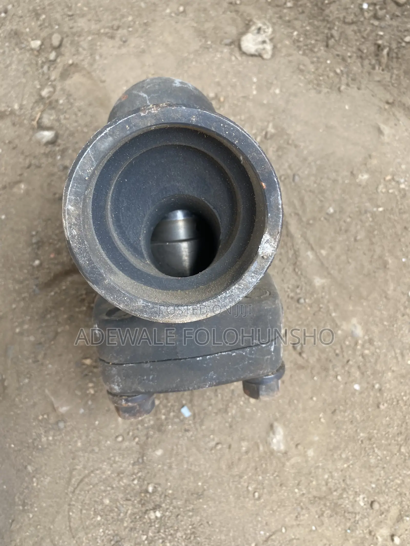Welded Steam Check Valve