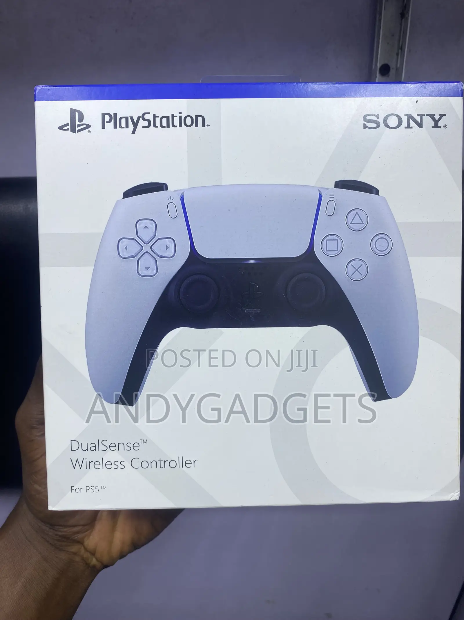 Sony Ps5 Pad