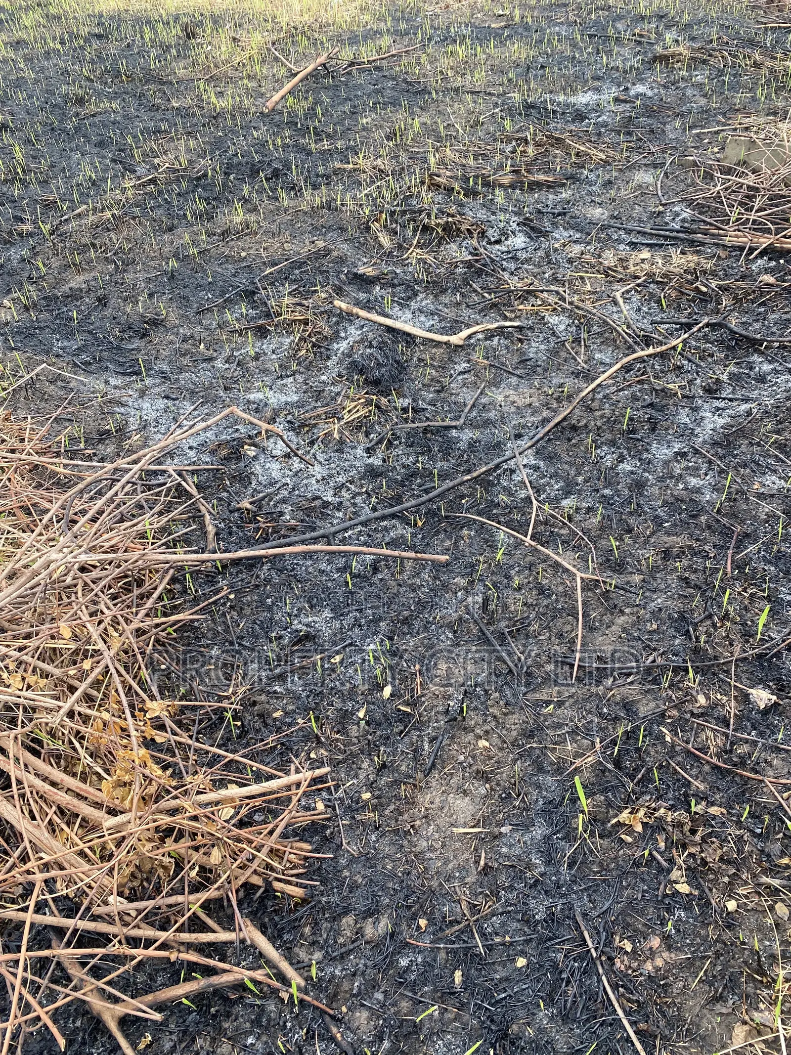 A Fenced Full Plot of Land at Ibeshe