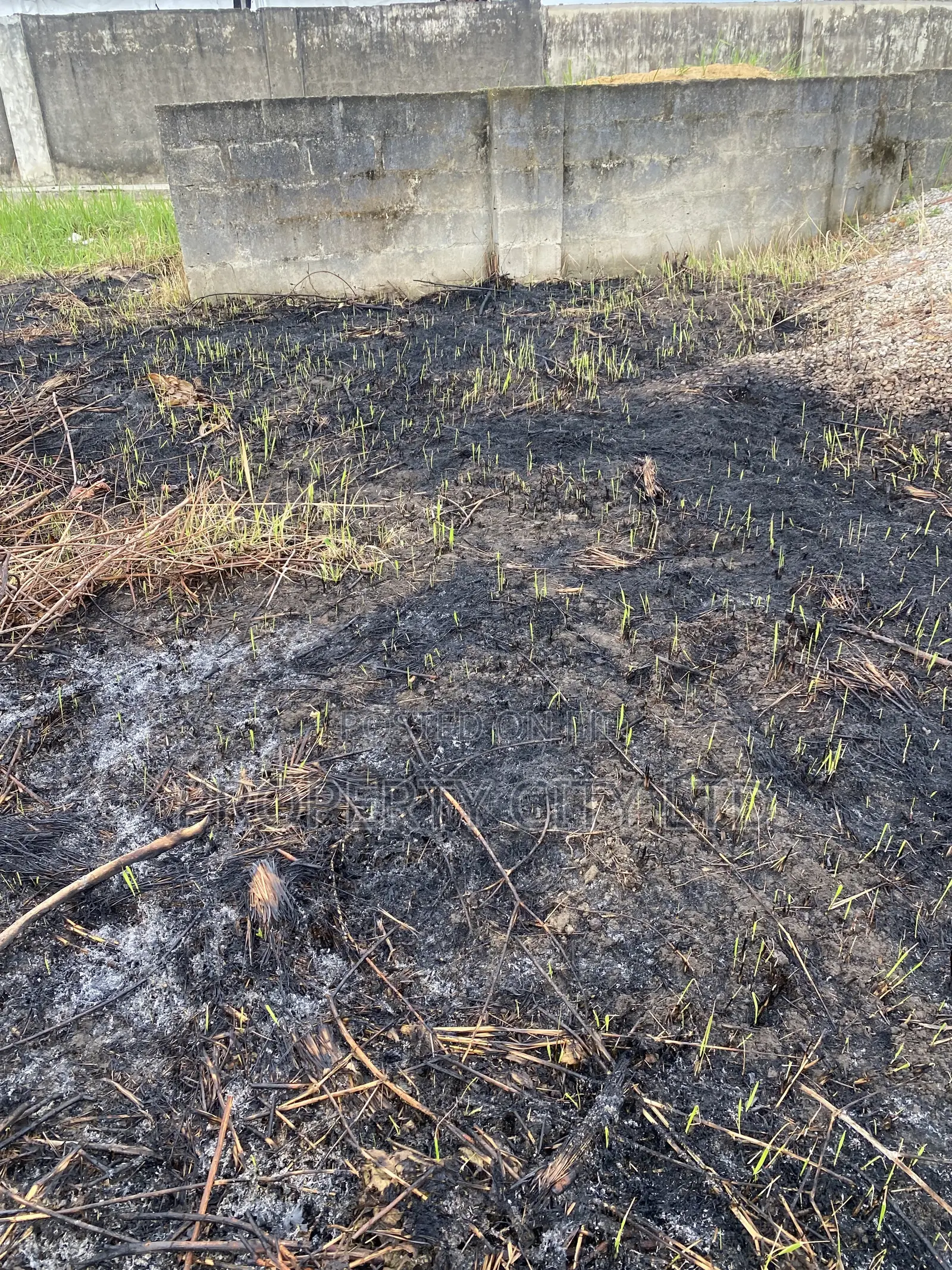 A Fenced Full Plot of Land at Ibeshe
