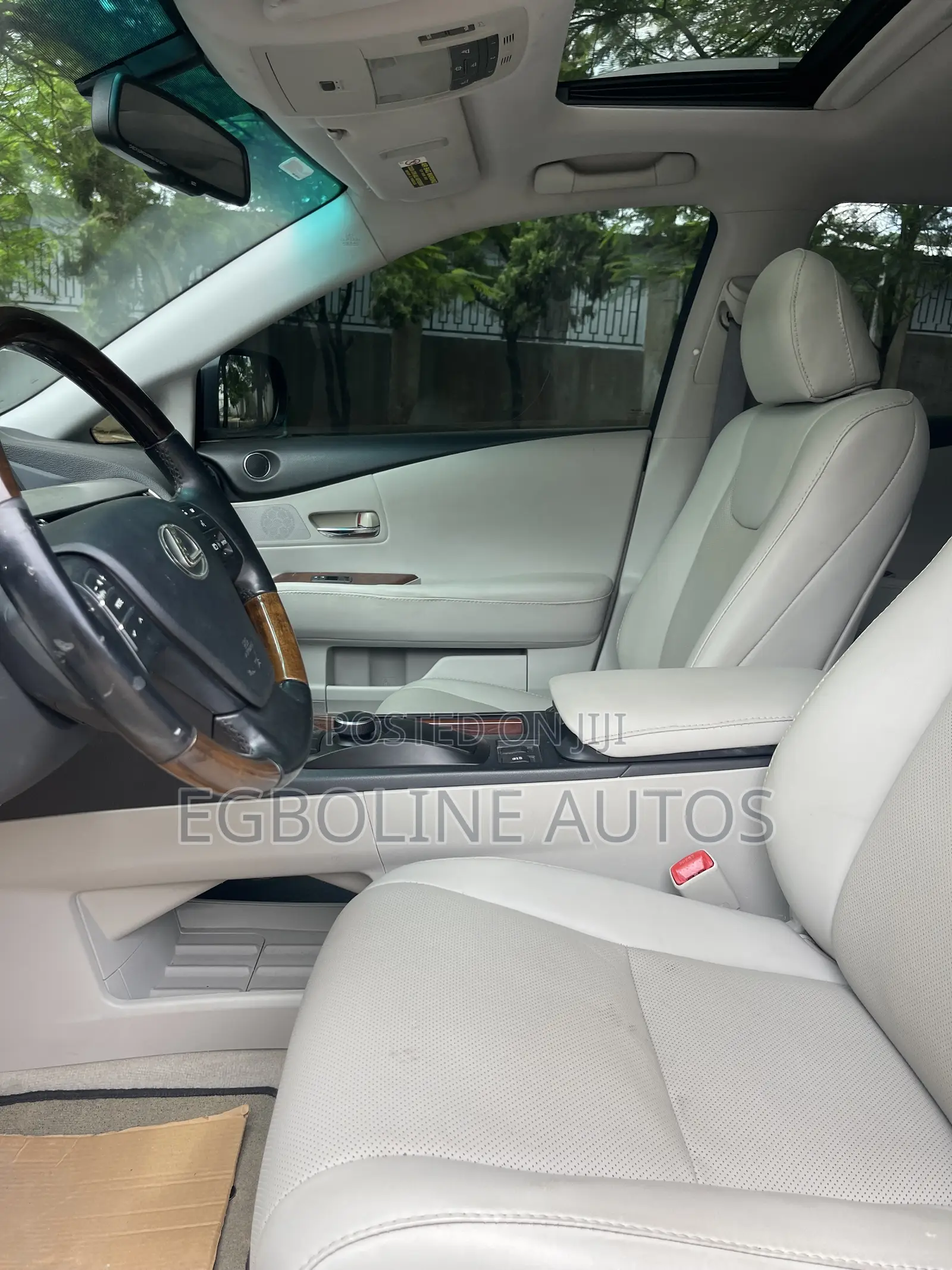 Lexus RX 350 2010 Gray