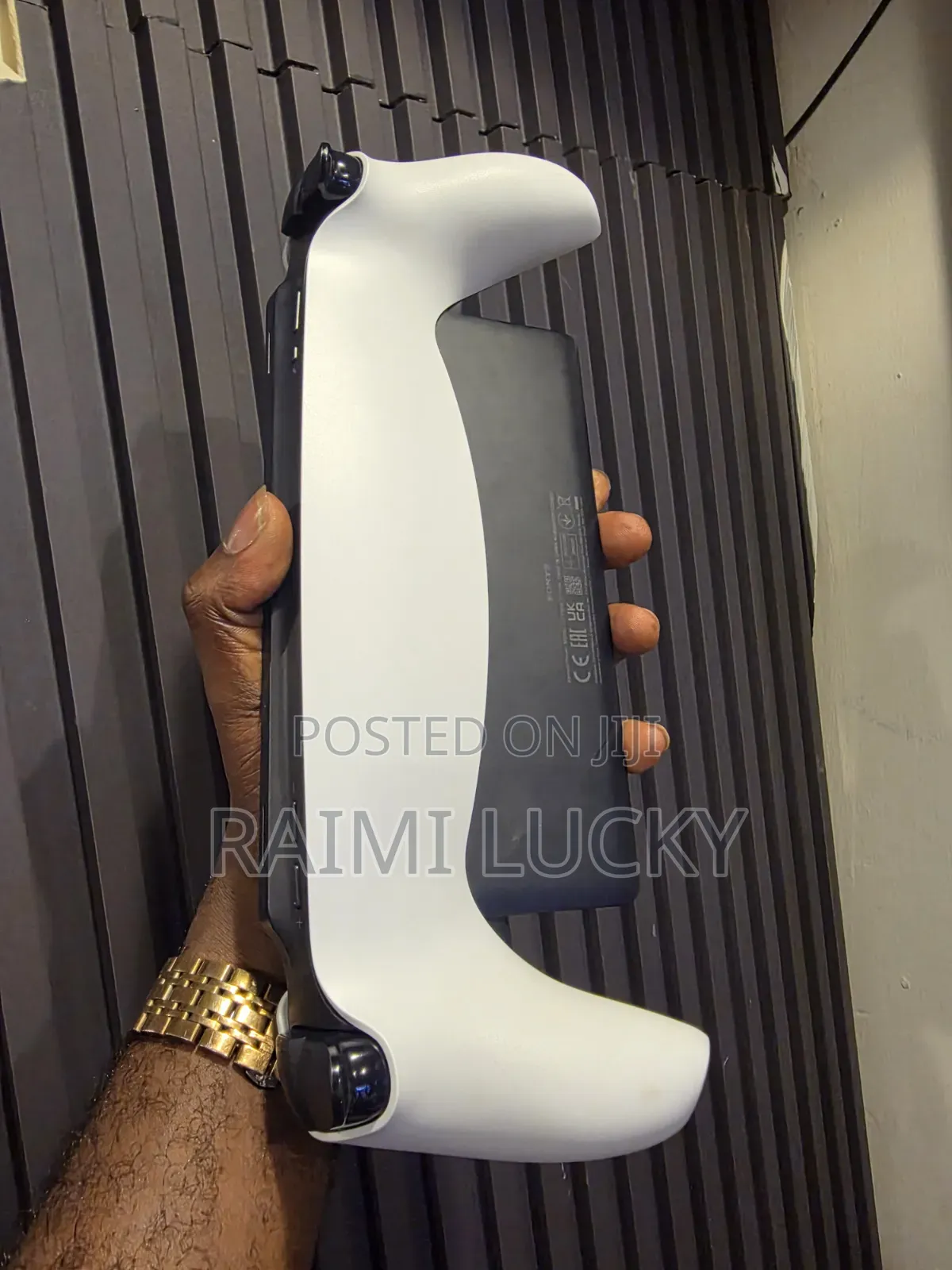 Playstation Portal