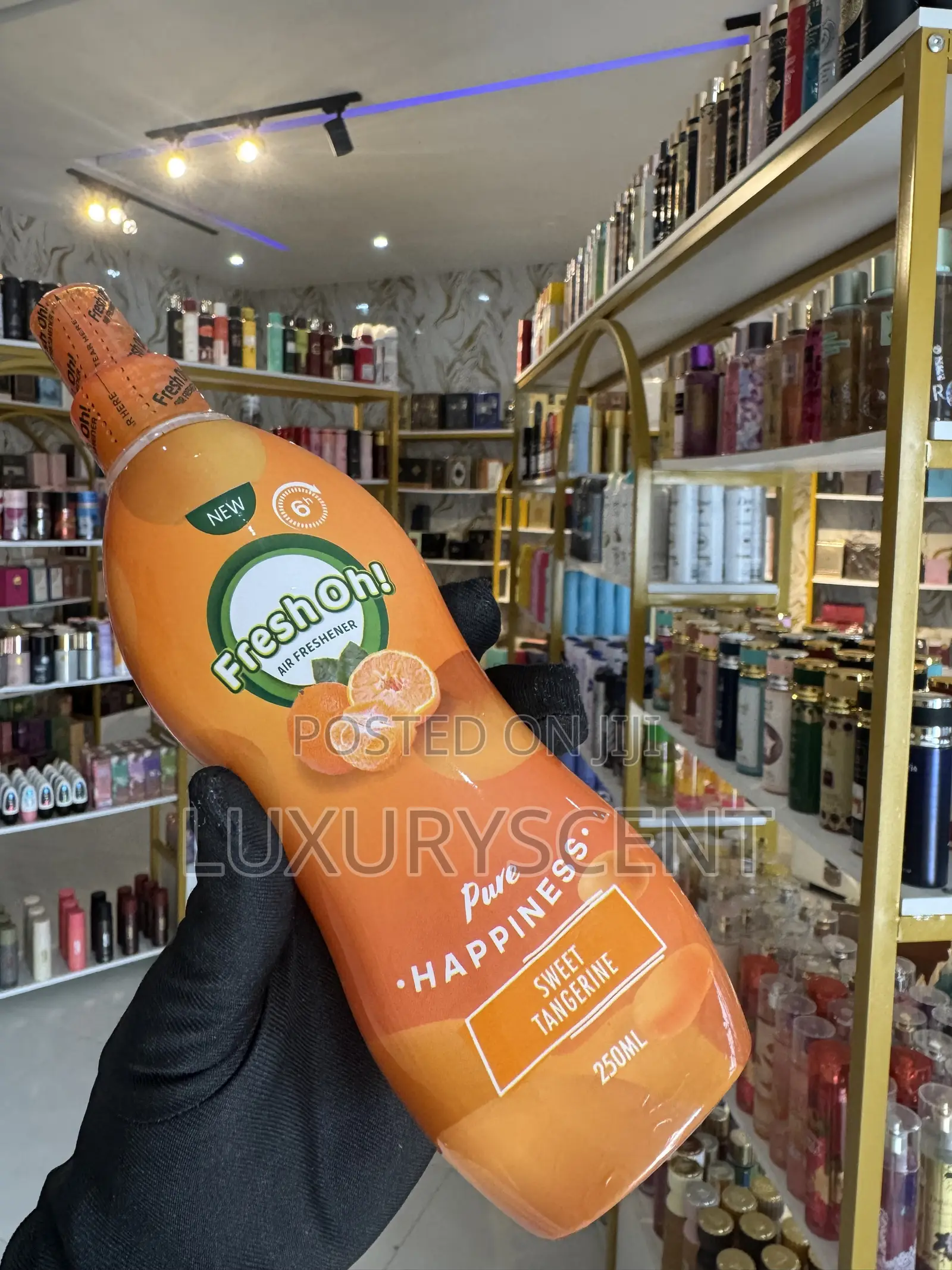 Fresh Oh! Air Freshener 250ml