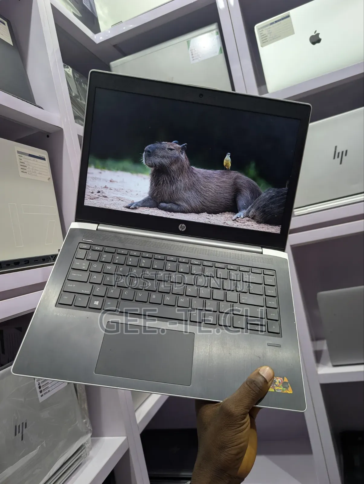 Laptop HP ProBook 440 G5 16GB Intel Core i5 SSD 256GB