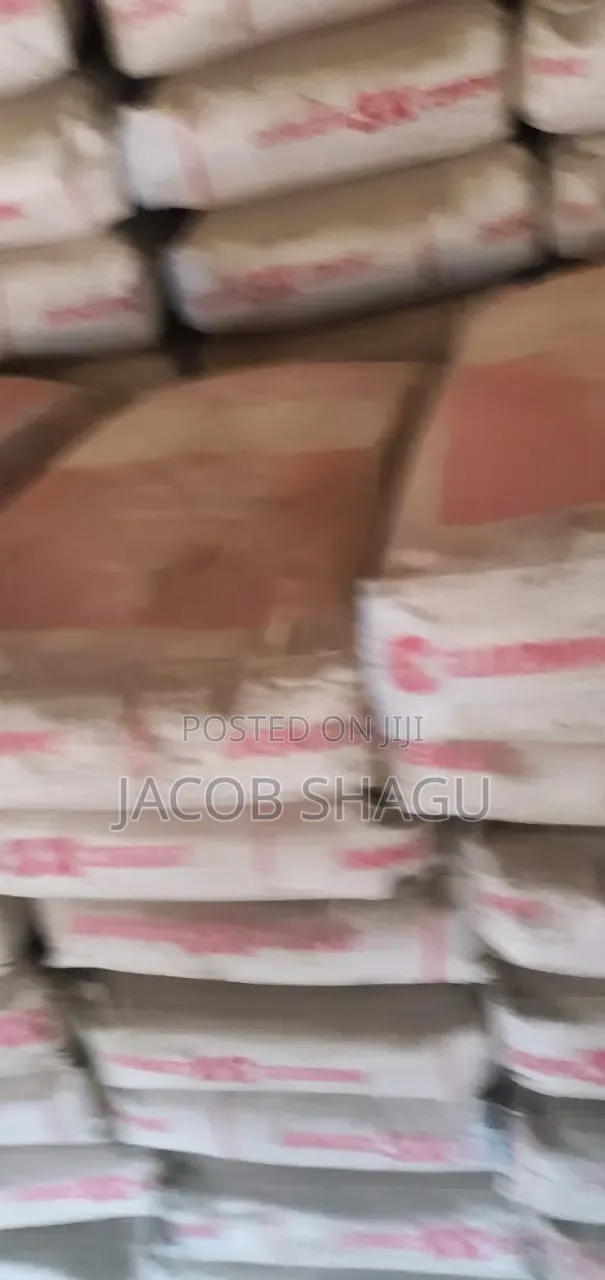 Shagu Ventures Is a Reliable Distributor of Dangote BUA and Lafarge
